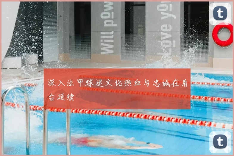 深入法甲球迷文化热血与忠诚在看台延续