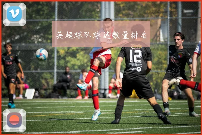 英超球队球迷数量排名