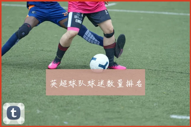 英超球队球迷数量排名