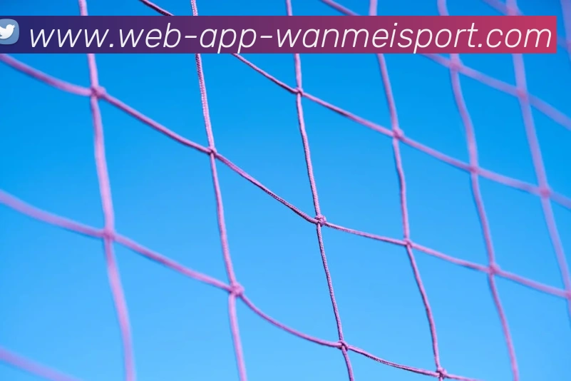 完美体育app全站App